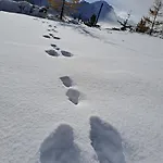 Jakob-adults Only * Neustift im Stubaital