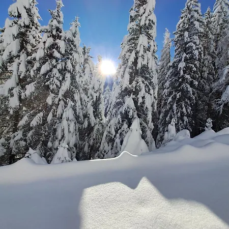 Jakob-adults Only Lägenhet Neustift im Stubaital