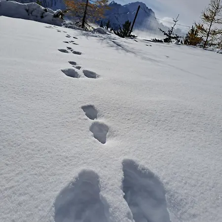 Jakob-adults Only * Neustift im Stubaital