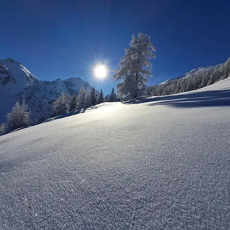 Jakob-adults Only Daire *