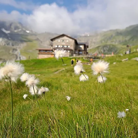 Daire Jakob-adults Only